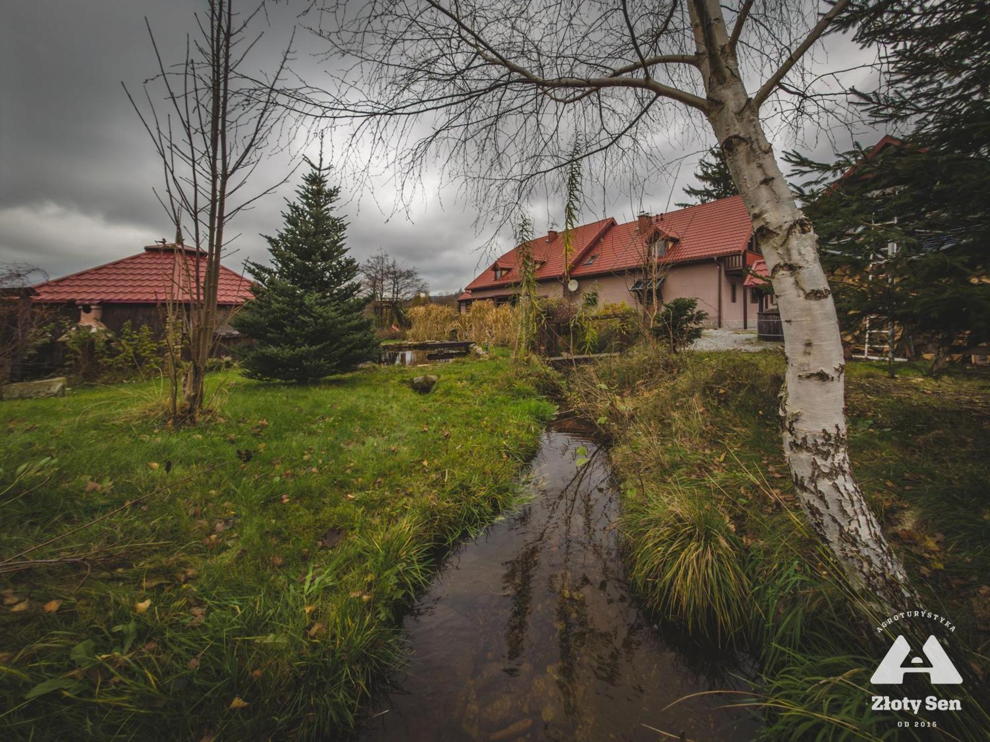 Zloty Sen Apartment Stronie Śląskie Exterior foto